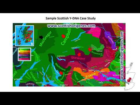 Putting a timeframe to Y-DNA mutations using Commercial Ancestral Y-DNA